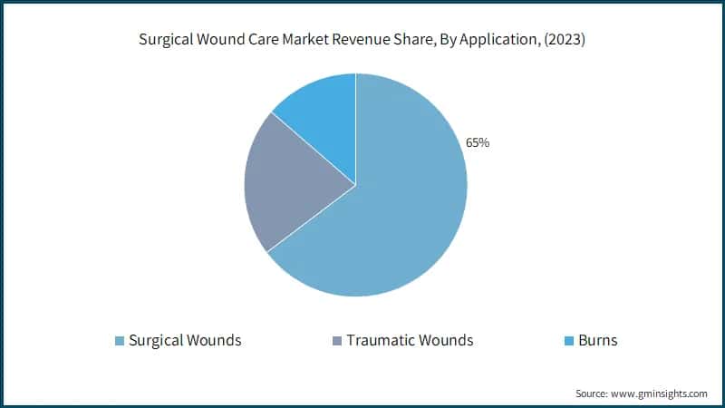 Surgical Wound Care Market Revenue Share, By Application, (2023)