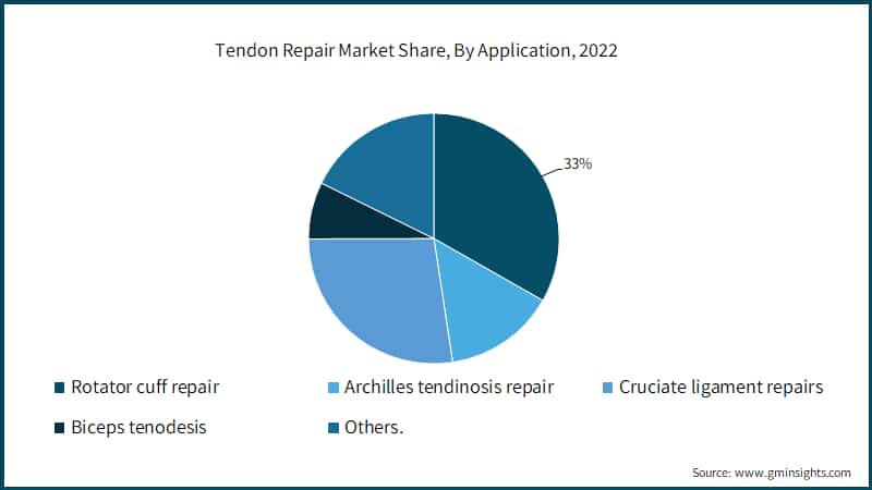 Tendon Repair Market Share, By Application, 2022