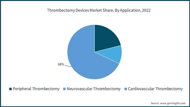 Thrombectomy Devices Market Share, By Application, 2022