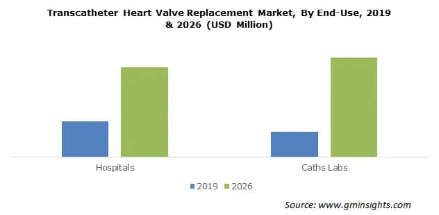 Transcatheter Heart Valve Replacement Market By End-Use