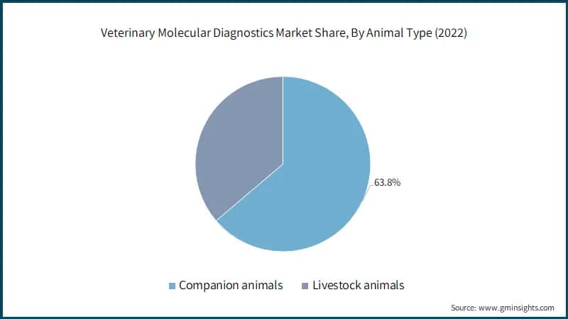 Veterinary Molecular Diagnostics Market Share, By Animal Type (2022)