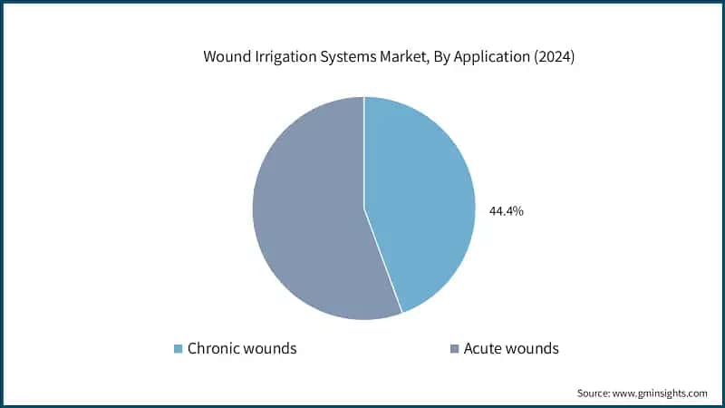 Wound Irrigation Systems Market, By Application (2024)