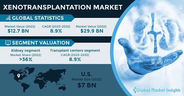Xenotransplantation Market 