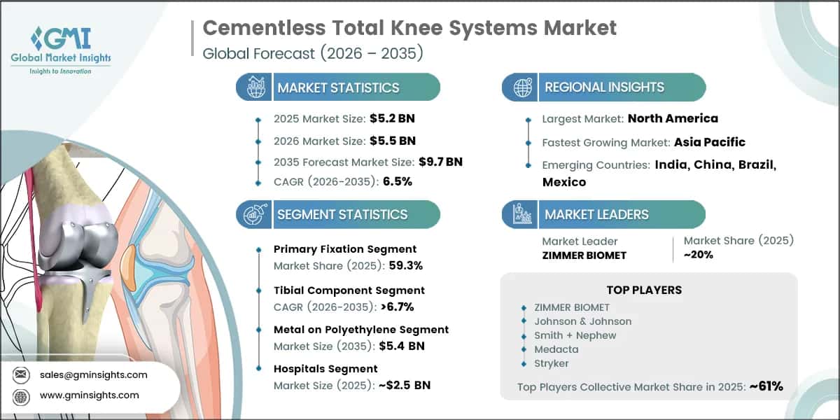 Cementless Total Knee Systems Market Research Report