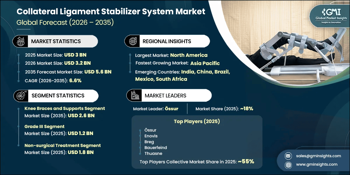 Collateral Ligament Stabilizer System Market Research Report