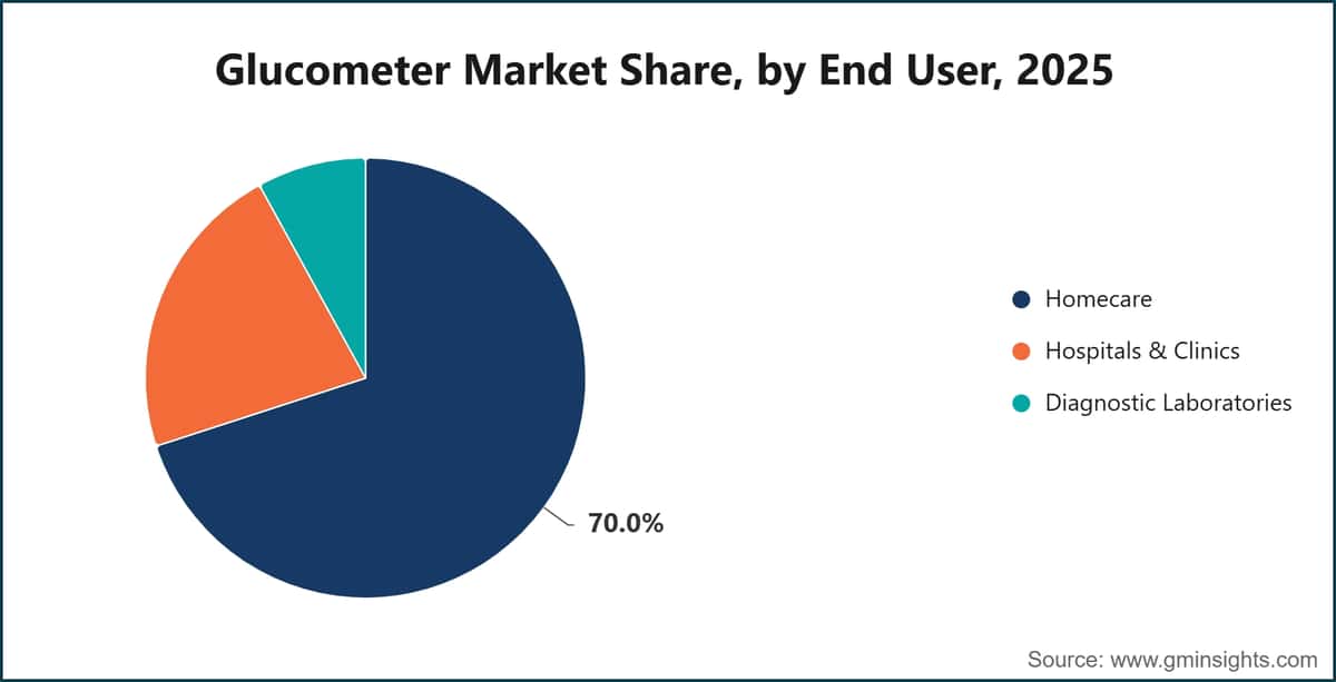 Glucometer Market Share, by End User, 2025