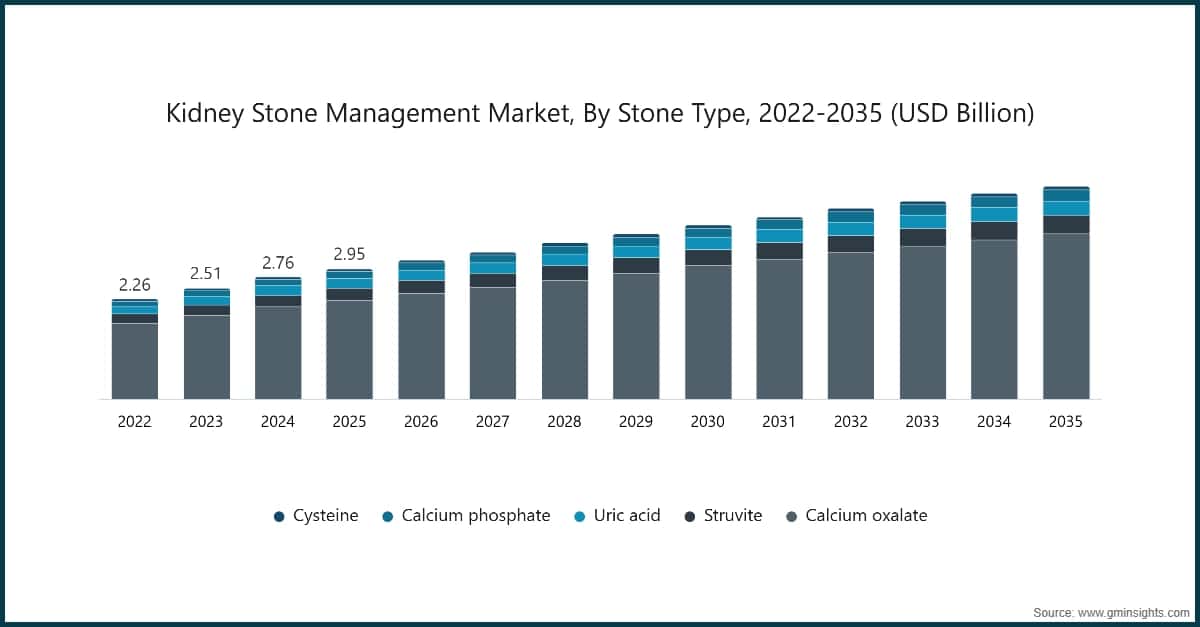 Nierenstein-Management-Markt, nach Steintyp, 2022-2035 (Milliarden USD)