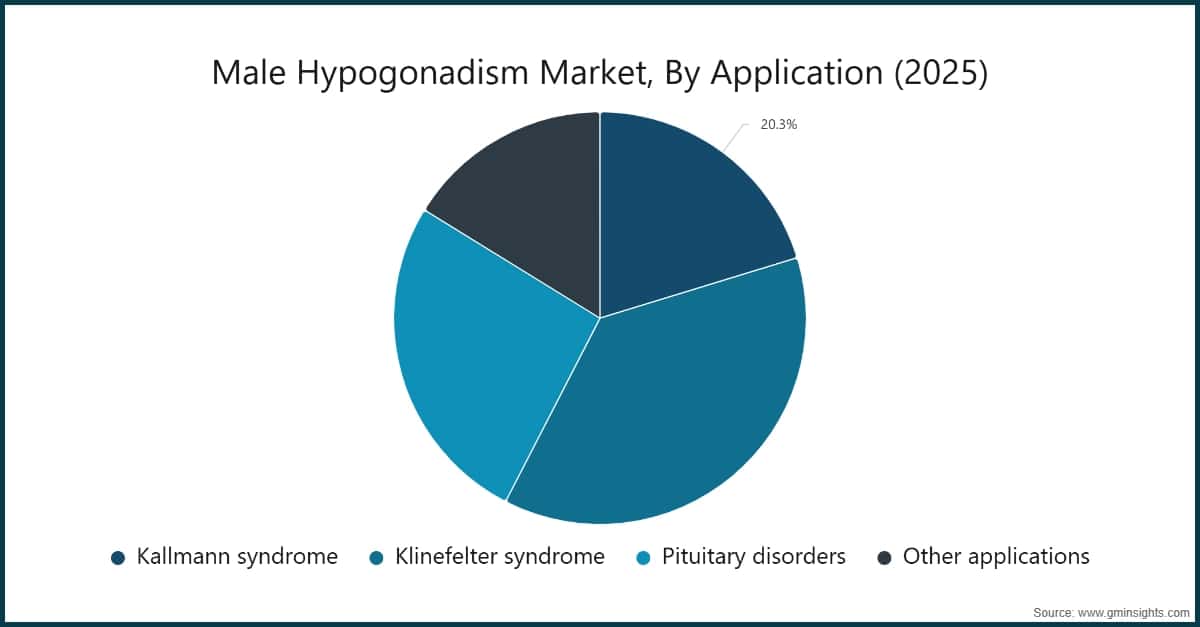 Marché de l'hypogonadisme masculin, par application (2025)