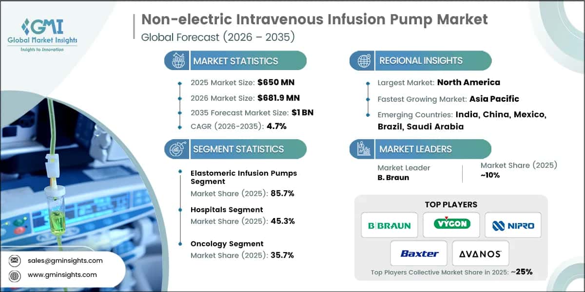 Non-electric Intravenous Infusion Pump Market Research Report