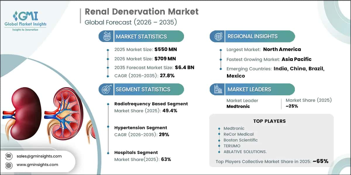 Renal Denervation Market Research Report