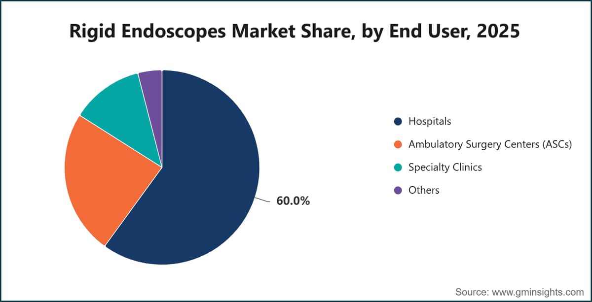 Rigid Endoscopes Market Share, by End User, 2025