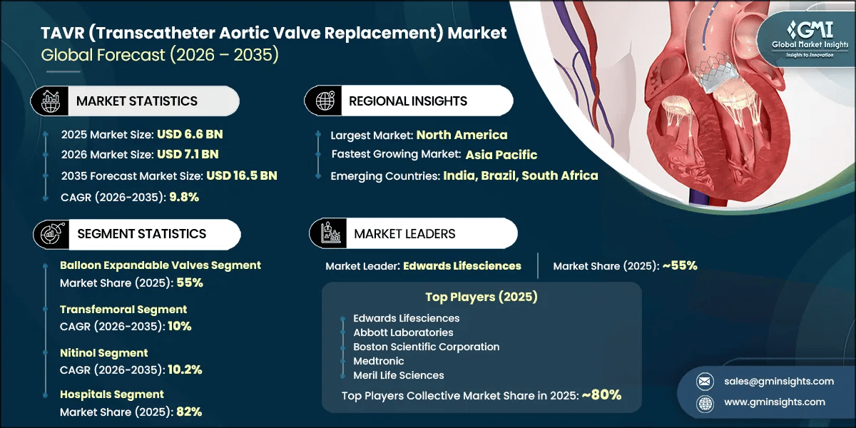 TAVR (Transcatheter Aortic Valve Replacement) Market Research Report