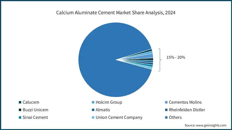 Calcium Aluminate Cement Market Share Analysis, 2024