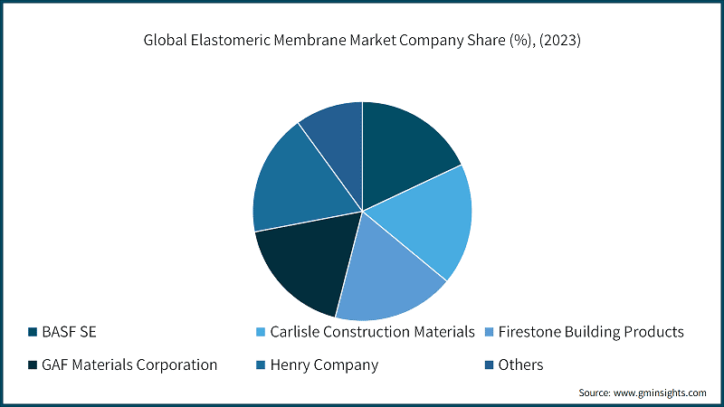 Global Elastomeric Membrane Market Company Share (%), (2023)