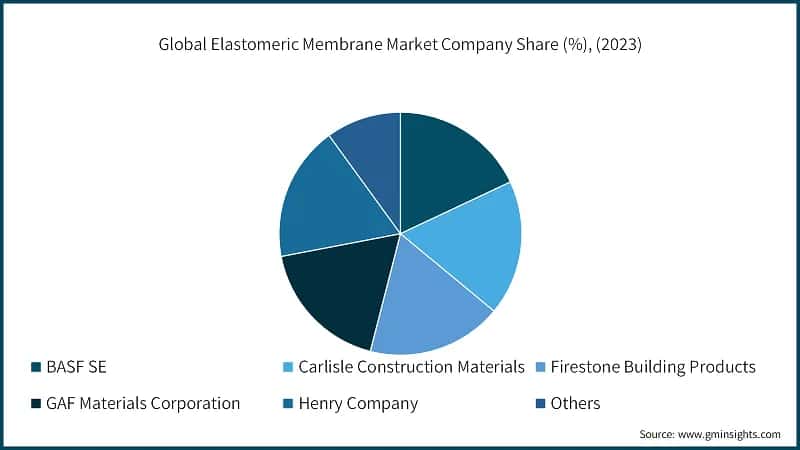 Global Elastomeric Membrane Market Company Share (%), (2023)