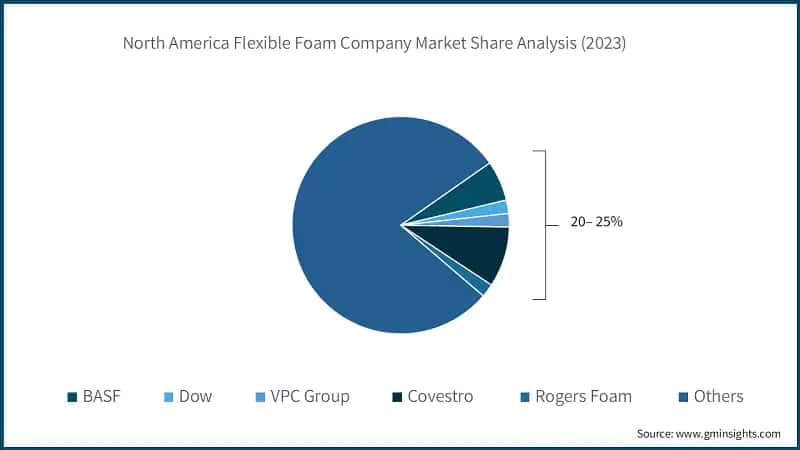North America Flexible Foam Company Market Share Analysis (2023)