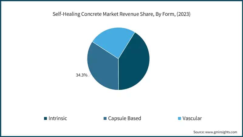 Self-Healing Concrete Market Revenue Share, By Form, (2023)