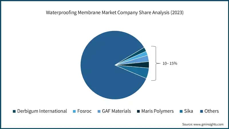 Waterproofing Membrane Market Company Share Analysis (2023)