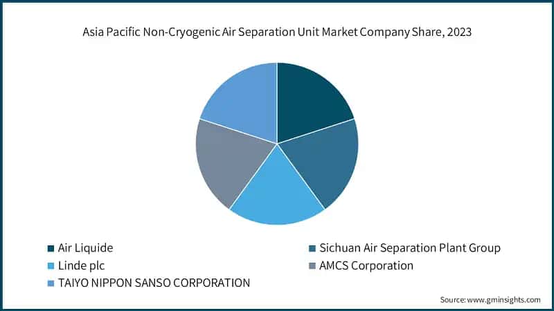 Asia Pacific Non-Cryogenic Air Separation Unit Market Company Share, 2023