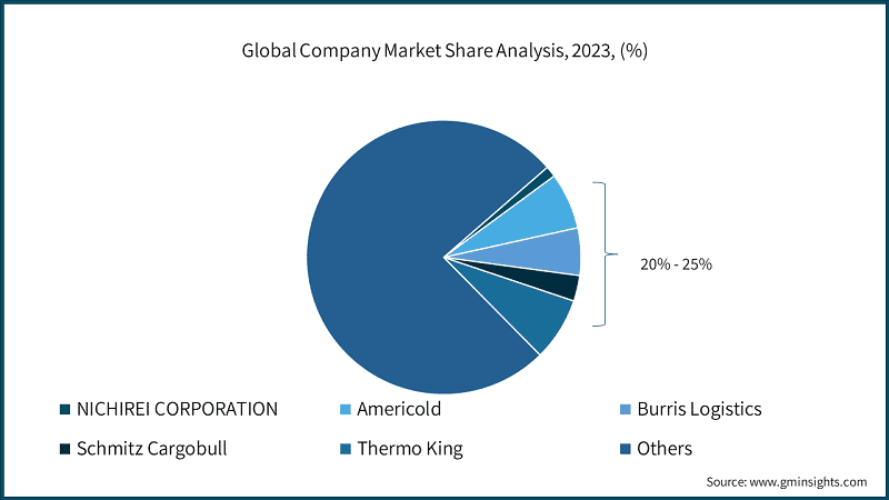 Global Company Market Share Analysis, 2023, (%)