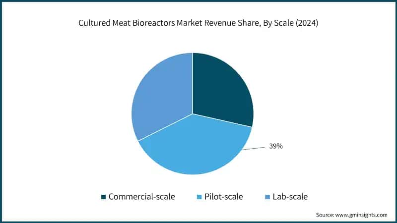 Cultured Meat Bioreactors Market Revenue Share, By Scale (2024)
