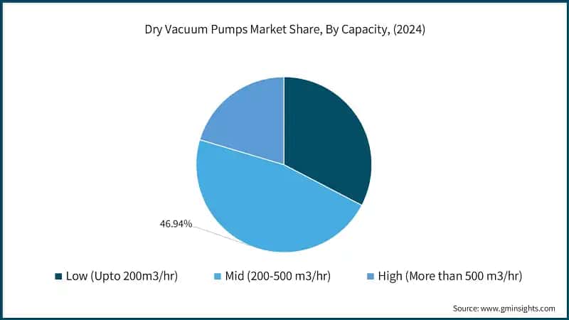 Dry Vacuum Pumps Market Share, By Capacity, (2024)
