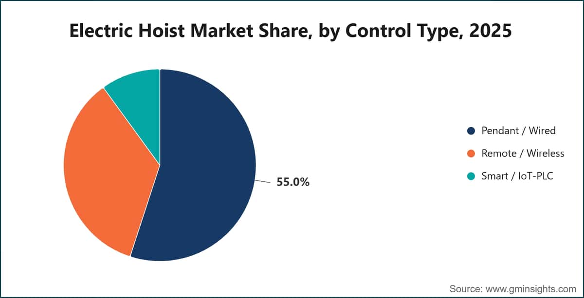 Electric Hoist Market Share, by Control Type, 2025