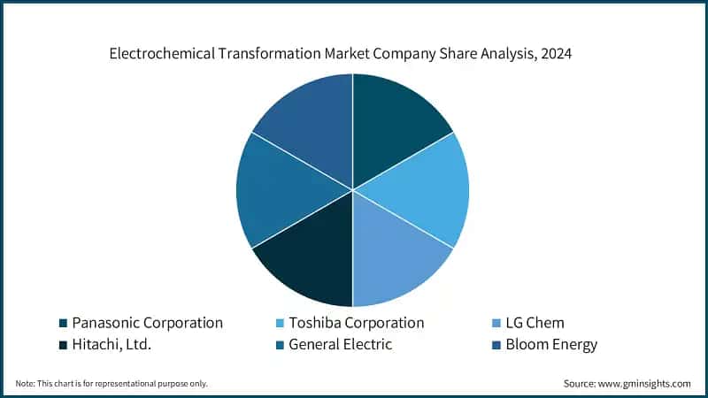 Electrochemical Transformation Market Company Share Analysis, 2024