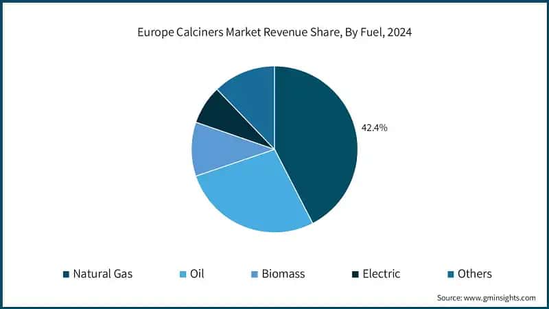 Europe Calciners Market Revenue Share, By Fuel, 2024