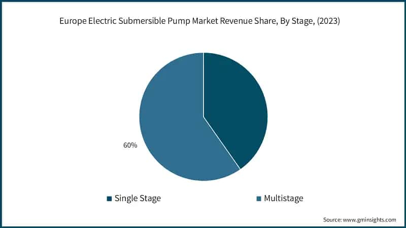 Europe Electric Submersible Pump Market Revenue Share, By Stage, (2023)