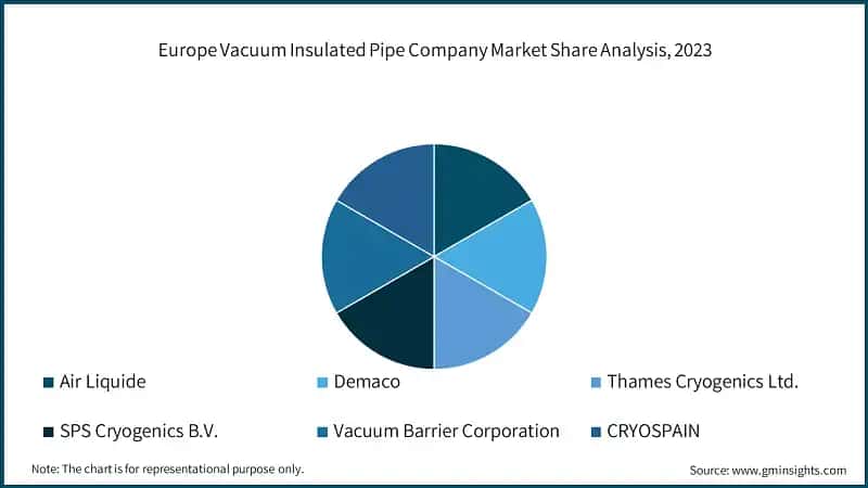 Europe Vacuum Insulated Pipe Company Market Share Analysis, 2023