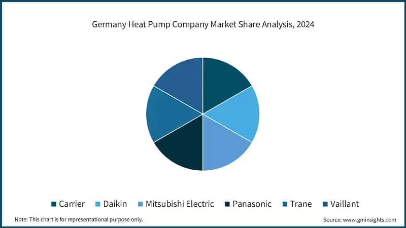 Germany Heat Pump Company Market Share Analysis, 2024