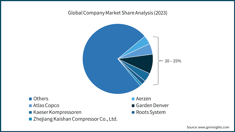 Global Company Market Share Analysis, 2023, (%)
