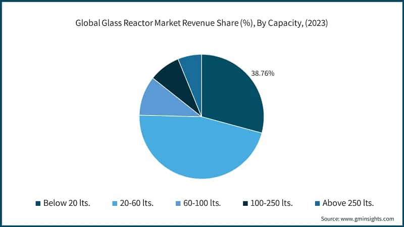 Global Glass Reactor Market Revenue Share (%), By Capacity, (2023)