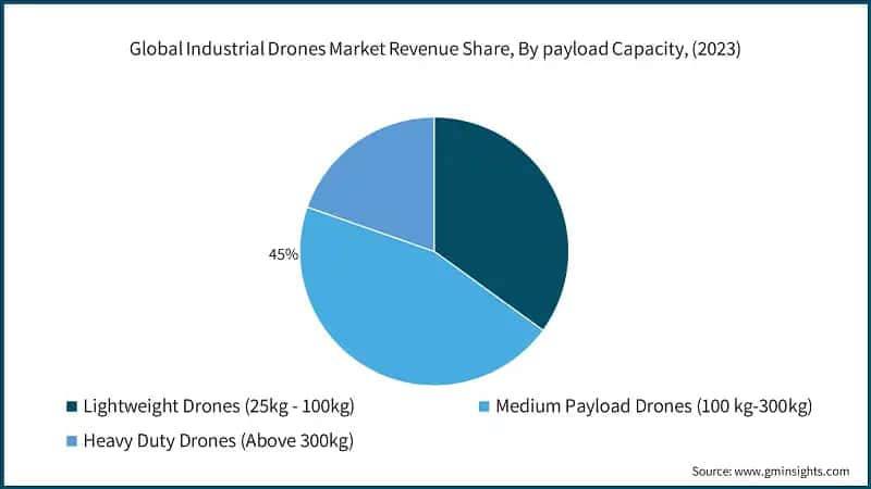 Global Industrial Drones Market Revenue Share, By payload Capacity, (2023)