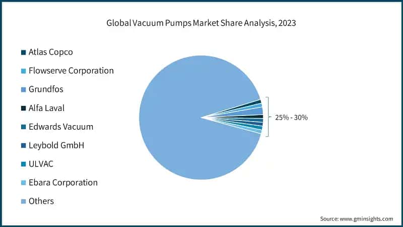 Global Vacuum Pumps Market Share Analysis, 2023