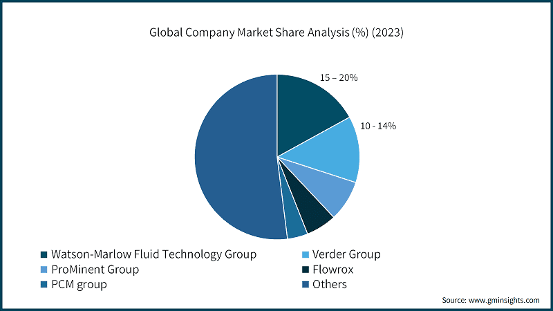 Global Company Market Share Analysis (%) (2023)