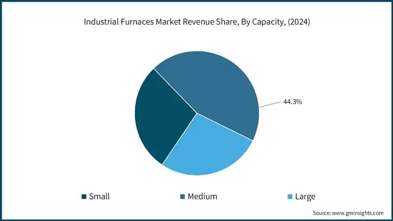 Industrial Furnaces Market Revenue Share, By Capacity, (2024)