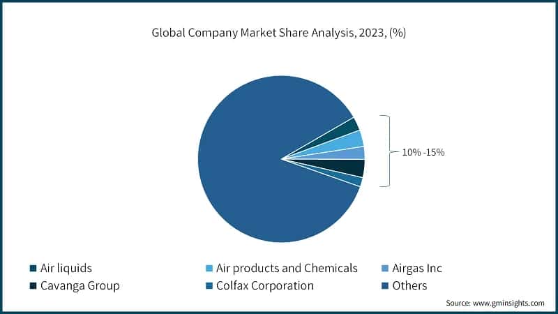Global Company Market Share Analysis, 2023, (%)