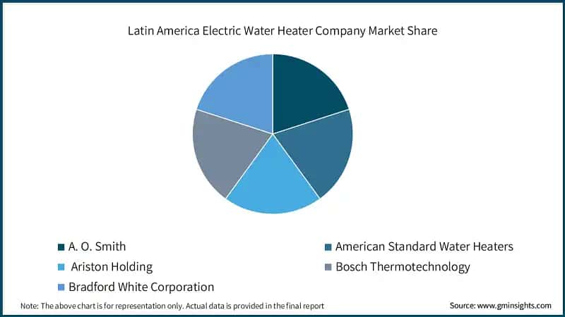 Latin America Electric Water Heater Company Market Share