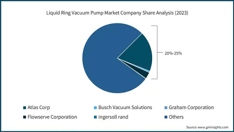 Liquid Ring Vacuum Pump Market Company Share Analysis (2023)