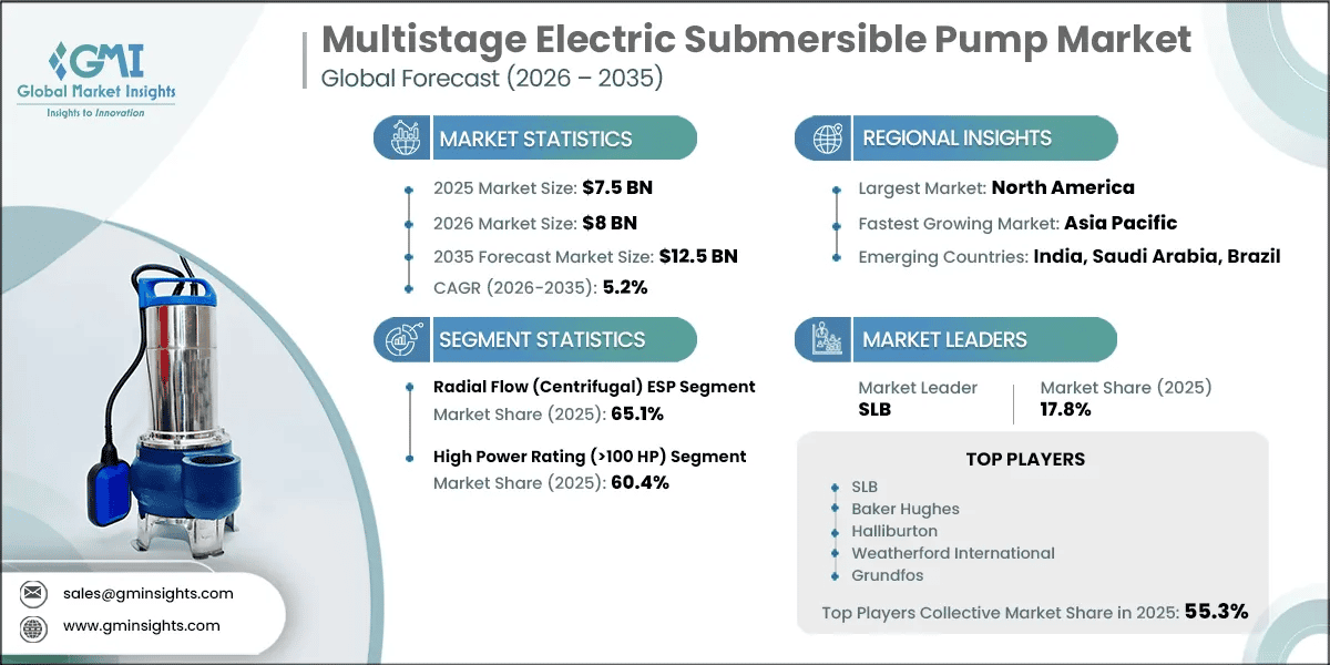 Report di ricerca sul mercato delle pompe elettriche sommerse multistadio