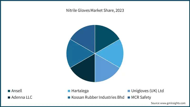 Nitrile Gloves Market Share, 2023