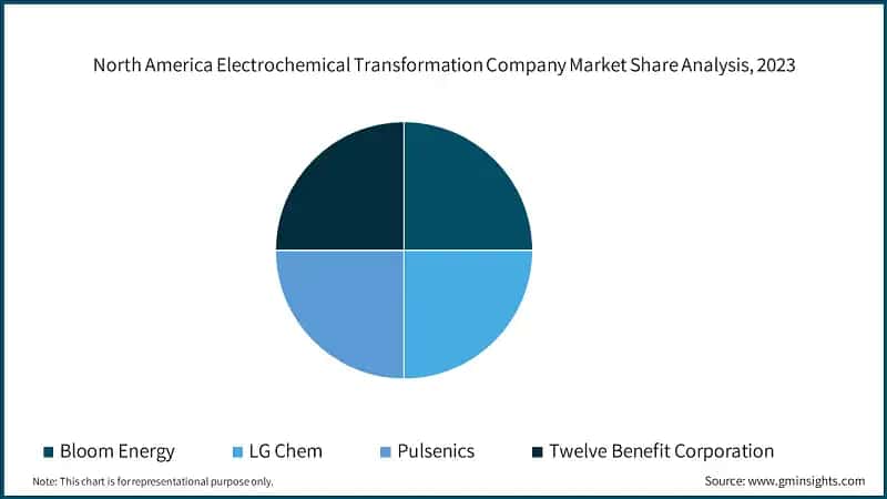 North America Electrochemical Transformation Company Market Share Analysis, 2023