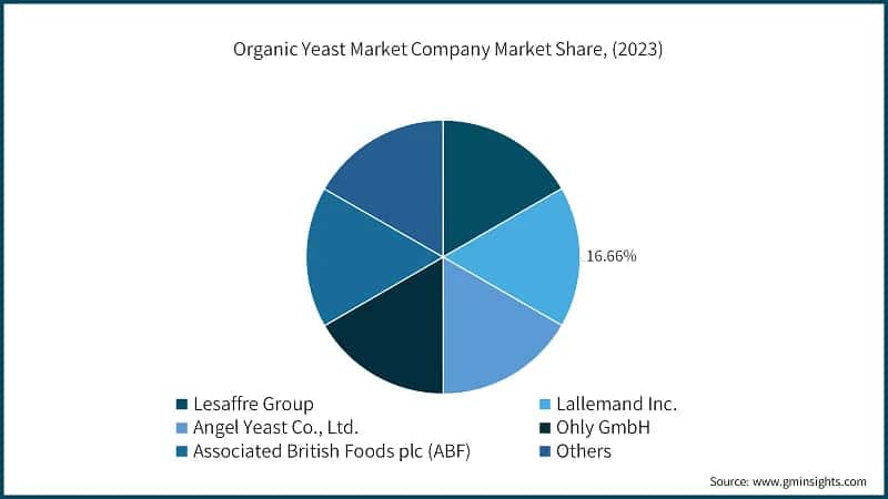 Organic Yeast Market Company Market Share, (2023)