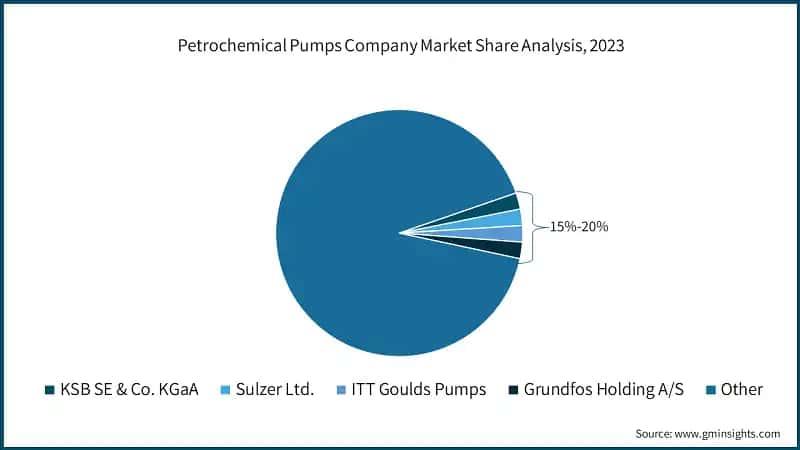 Petrochemical Pumps Company Market Share Analysis, 2023