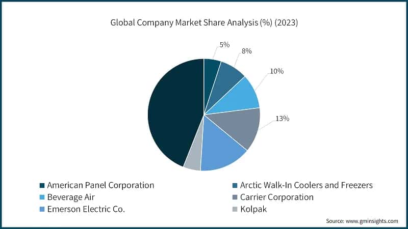 Global Company Market Share Analysis (%) (2023)