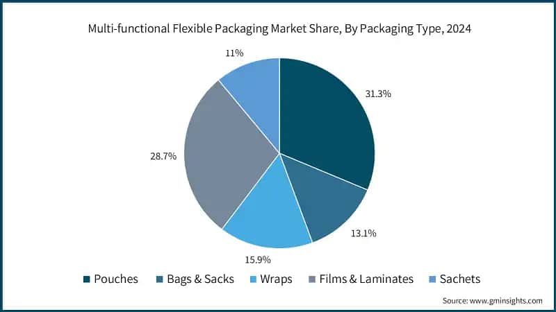 Multi-functional Flexible Packaging Market Share, By Packaging Type, 2024