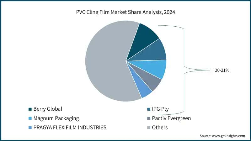 PVC Cling Film Market Share Analysis, 2024