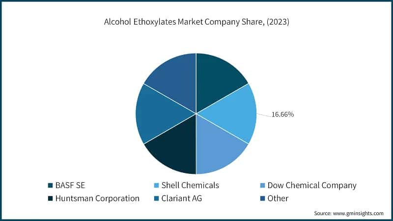 Alcohol Ethoxylates Company Market Share, (2023)